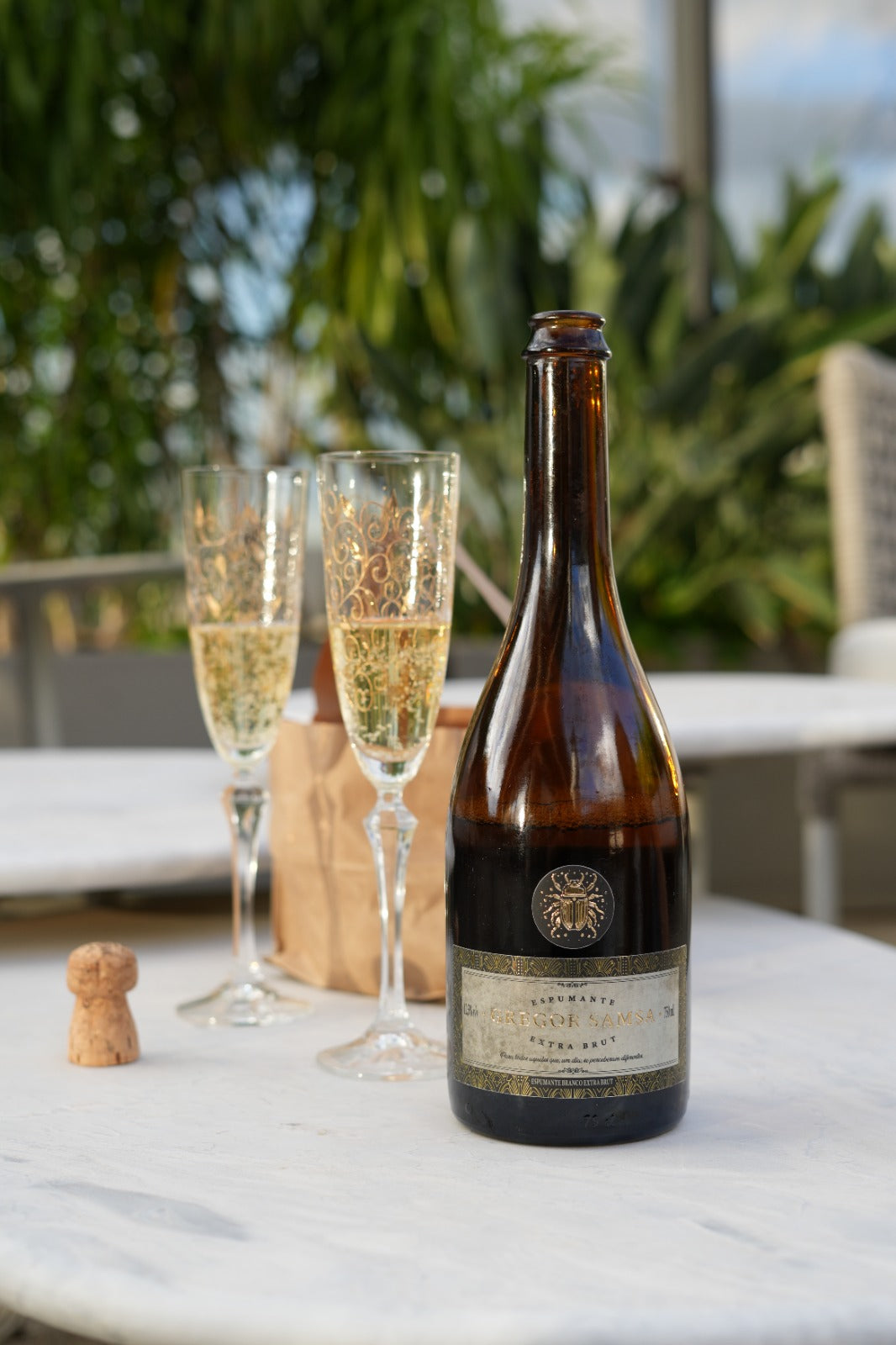 Espumante Gregor Samsa Extra Brut — vista aproximada da garrafa e do design artístico do rótulo
